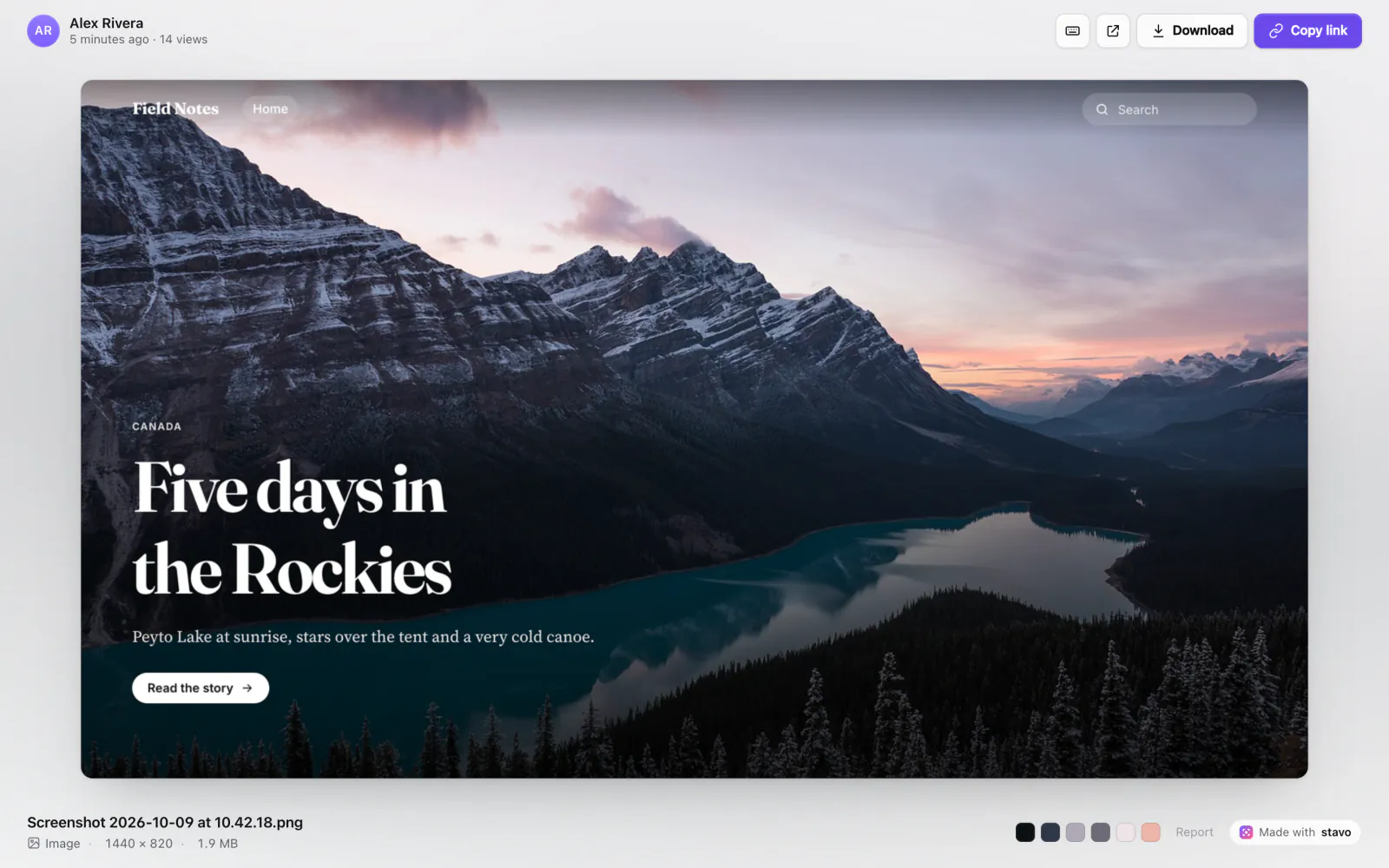 A public share page for a screenshot with Download and Copy link buttons and the image color palette.